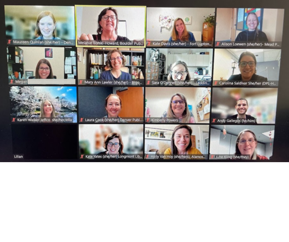 Screenshot of committee Zoom meeting